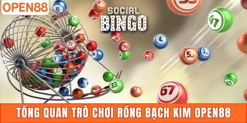 Tổng quan trò chơi Rồng Bạch Kim Open88